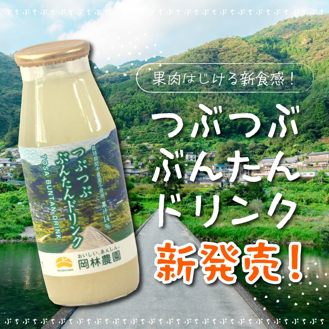  つぶつぶぶんたんドリンク